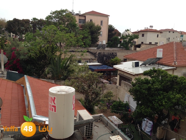 raininyaffa514 (1).JPG